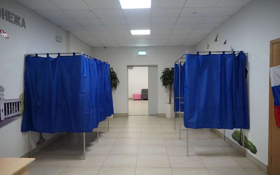 Более чем на 5 тыс. уменьшилась численность избирателей в Воронежской области за полгода