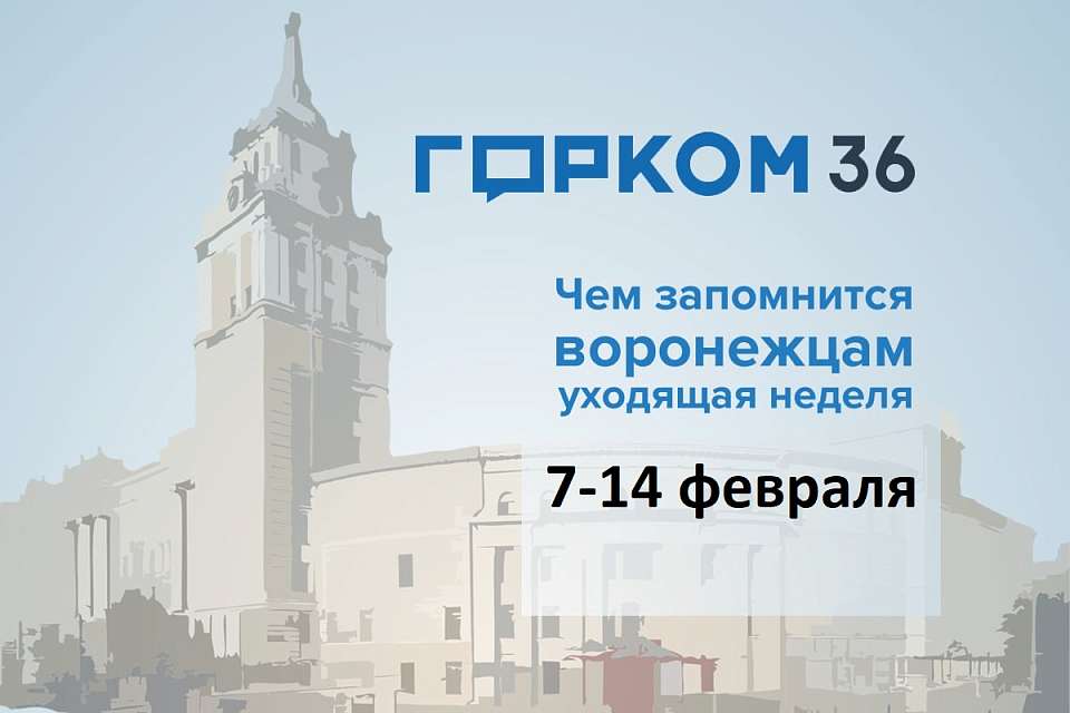 Чем запомнилась в Воронеже неделя с 7 по 14 февраля