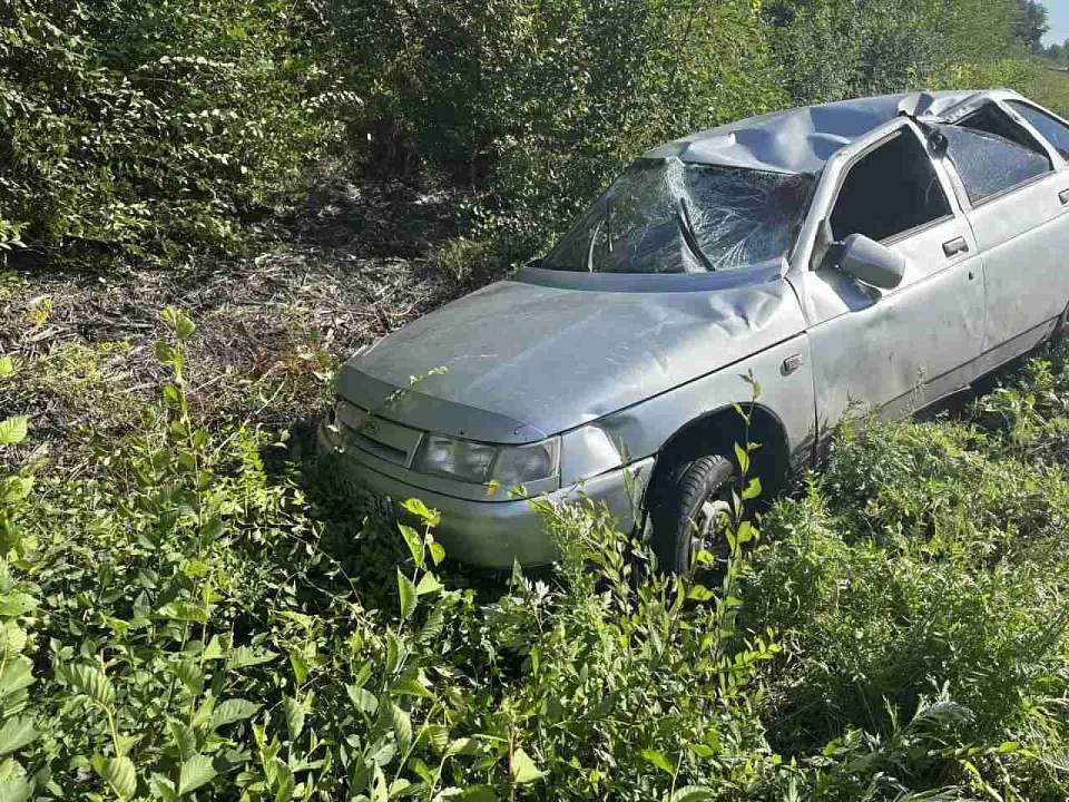 Автомобиль наехал на дикое животное и опрокинулся в кювете в Воронежской области