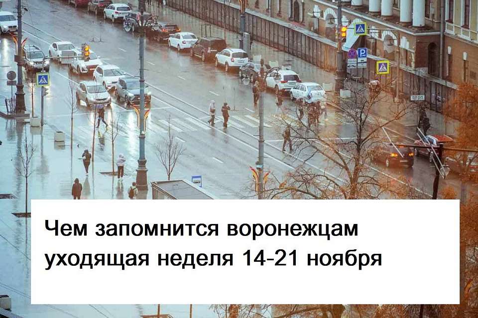 Чем запомнилась в Воронеже неделя с 14 по 21 ноября