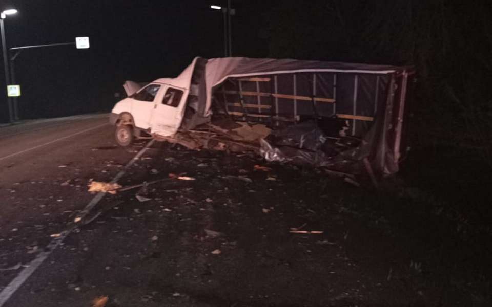 Три человека погибли в ДТП с участием микроавтобуса, грузовика и пешехода на воронежской трассе