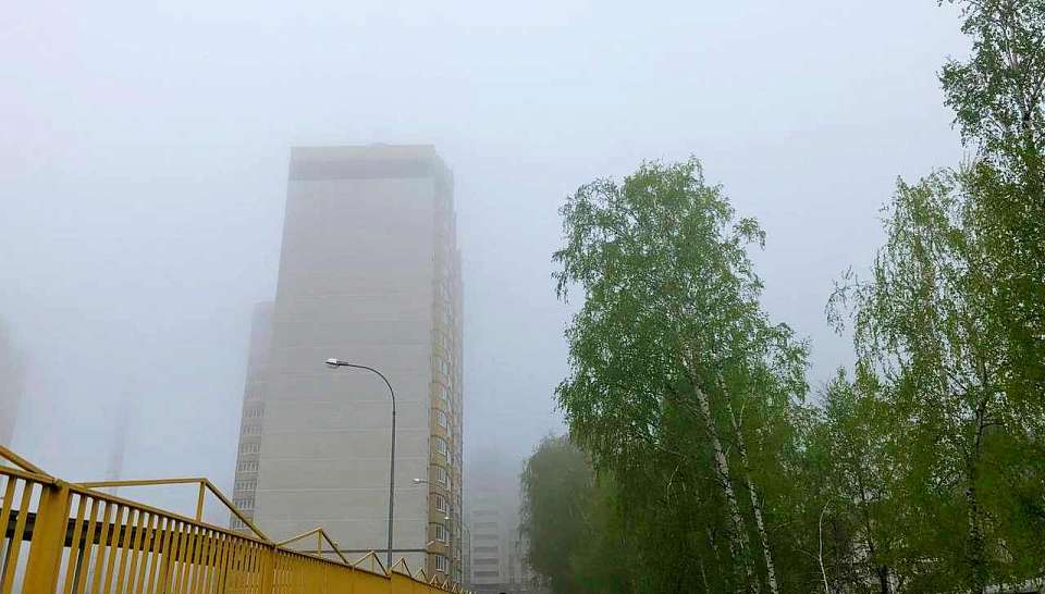 В Воронежской области задержится опасное погодное явление