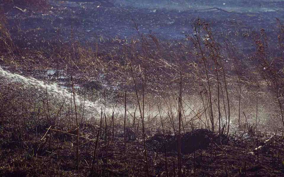 Пшеница на площади 30 га сгорела под Воронежем