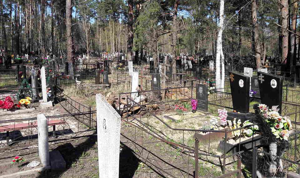 Спецмаршруты автобусов организуют на Вербное воскресенье к кладбищам в Воронеже