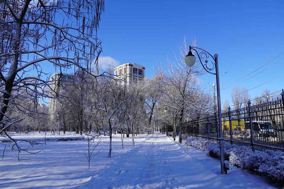 Морозы до -20 градусов придут в Воронежскую область