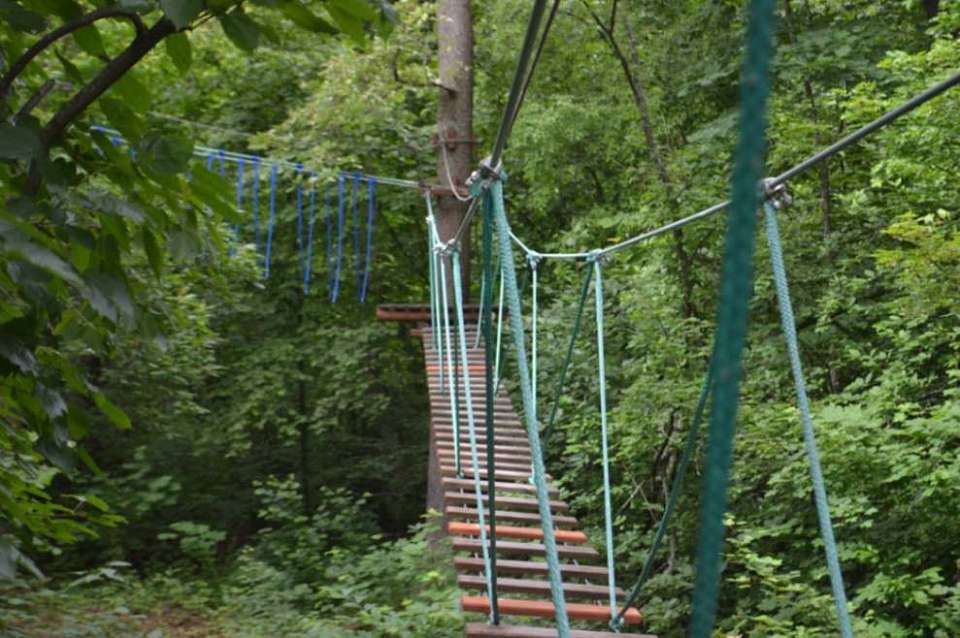Веревочный парк Воронежского заповедника приостановил работу