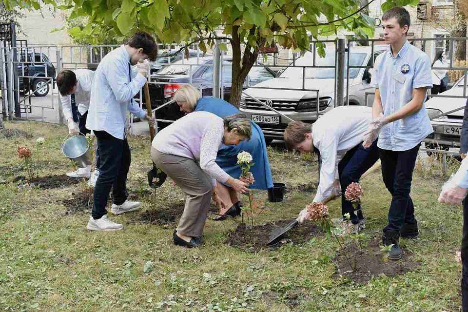 Аллея педагогов и День самоуправления: как в Воронеже прошёл праздник учителей