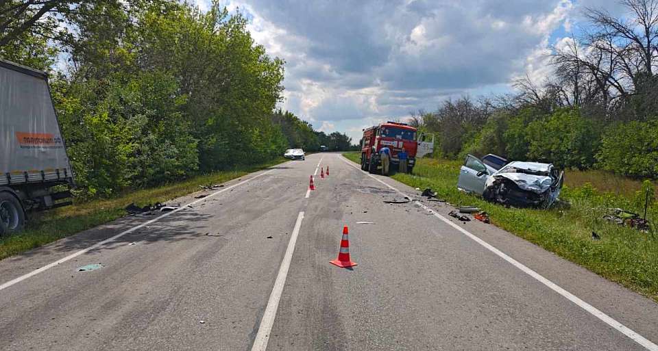 Два человека разбились в лобовом столкновении легковушки с грузовиком на воронежской трассе