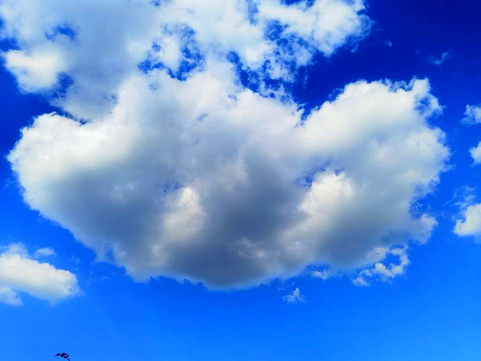 Небольшие дожди и до +20 градусов обещают синоптики днем 4 апреля в Воронежской области