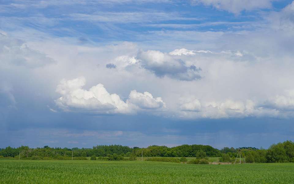 Штормовое предупреждение по аномальной жаре передали в Воронежской области
