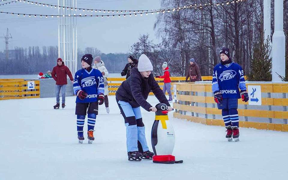 На каток и другие бесплатные развлечения пригласили воронежцев в субботу, 24 января