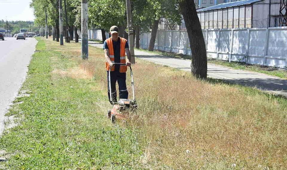 Комбинат благоустройства Железнодорожного района продолжает ухаживать за газонами