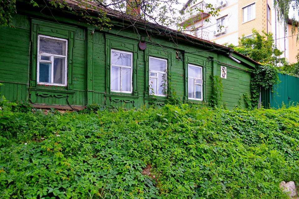 Уничтожить на корню. Как не попасть на штраф и не потерять земельный участок из-за опасных сорняков
