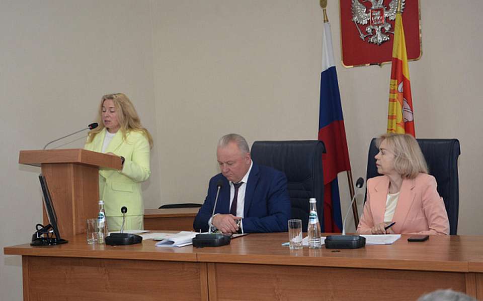 Особый контроль за дополнительным образованием установят депутаты гордумы Воронежа