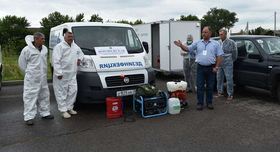 Условный очаг птичьего гриппа ликвидировали в Воронежской области