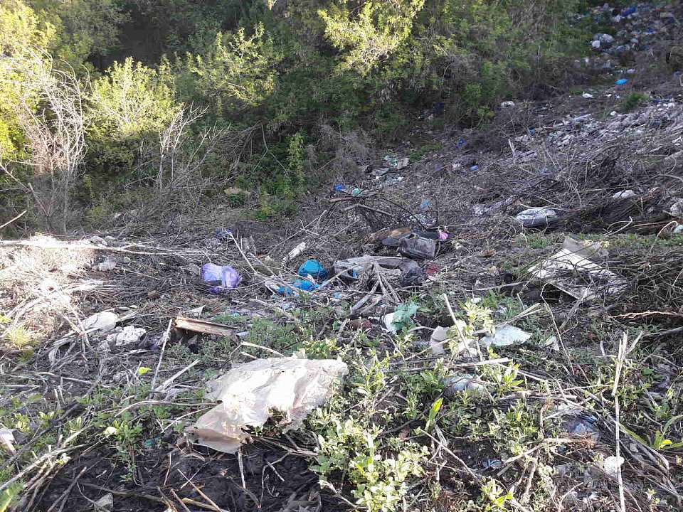 Две незаконные свалки выявили на сельхозугодьях Воронежской области