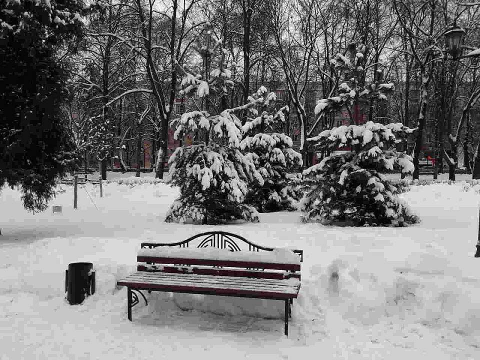 Циклон «Рикса» формирует погоду в Воронежской области