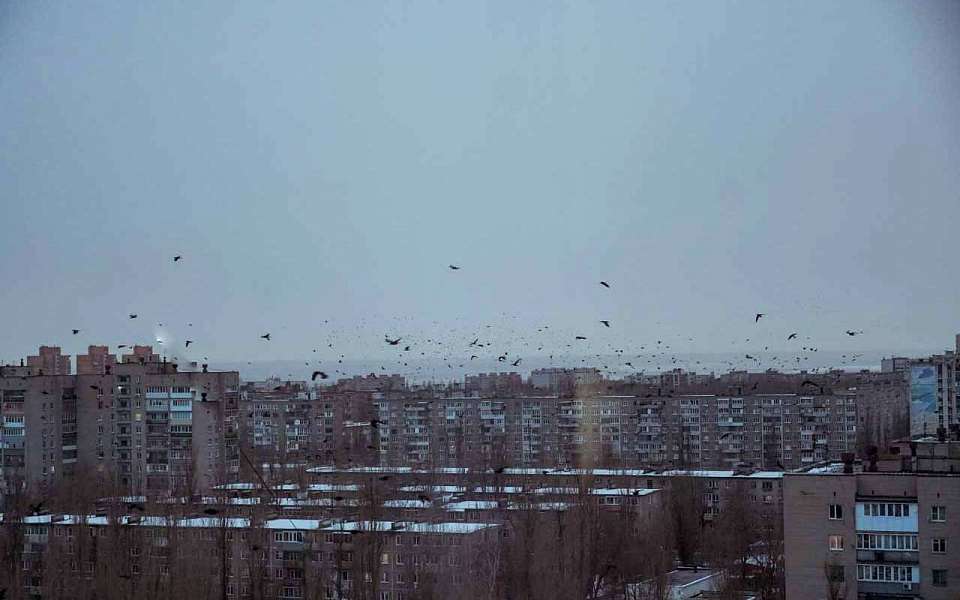 Авиационную опасность объявили днем 3 февраля в Воронежской области