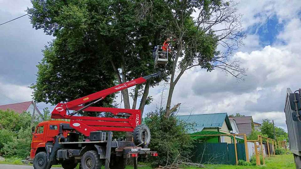 На территории Железнодорожного района следят за состоянием деревьев