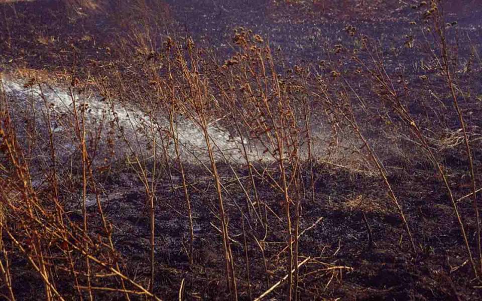 Трава загорелась после падения беспилотника в Воронежской области