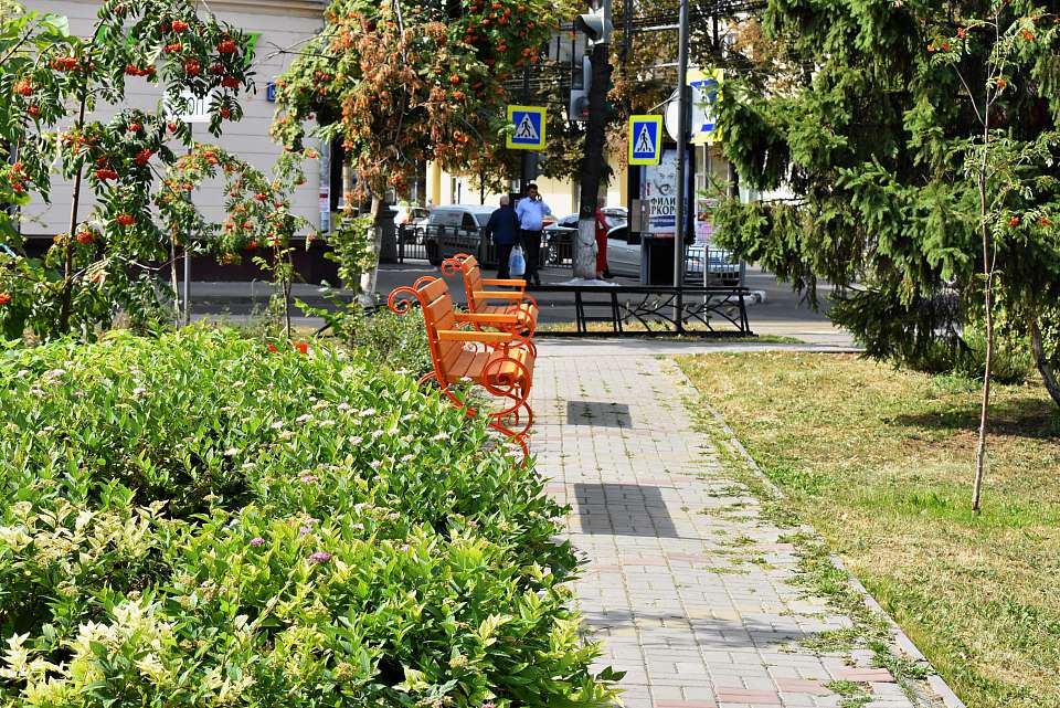 В Ленинском районе Воронежа открыт IT-сквер