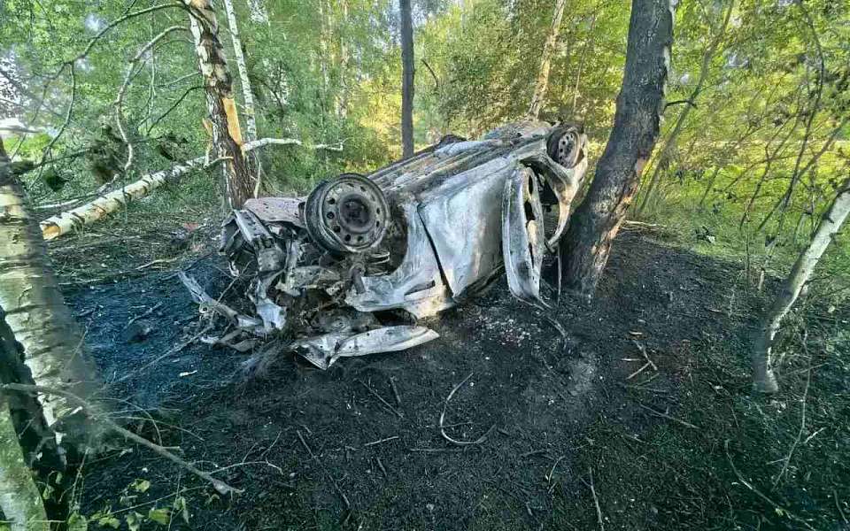 Подросток сгорел в Kia Rio после ДТП под Воронежем