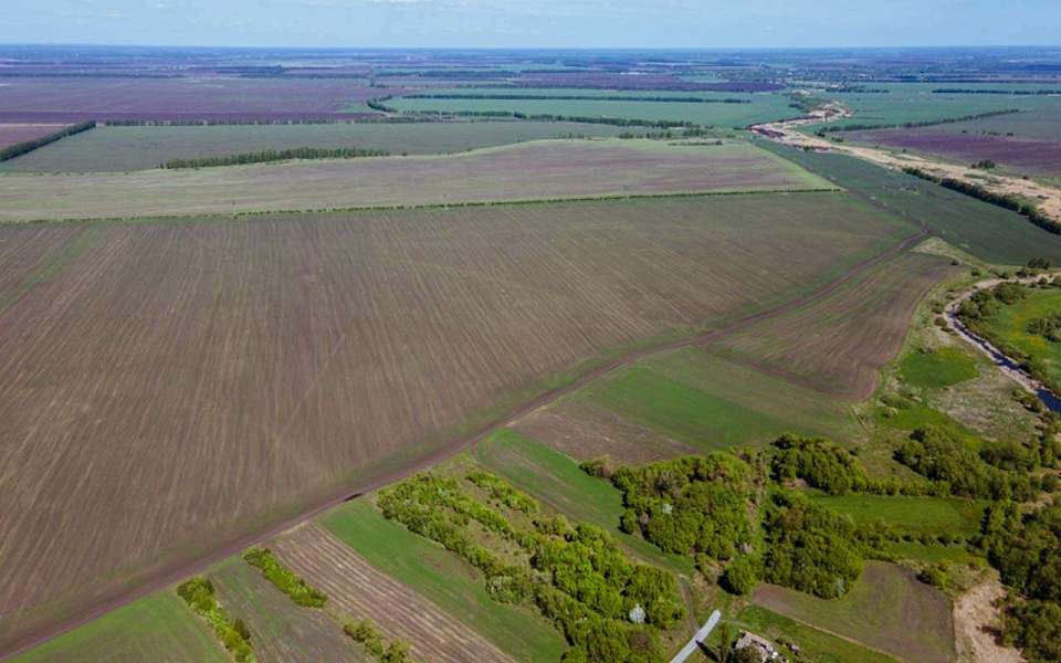 Проведение комплексных кадастровых работ в регионе экономит деньги воронежцам