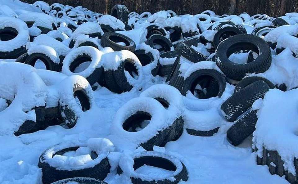 Гигантскую свалку шин обнаружили экологи в Воронеже
