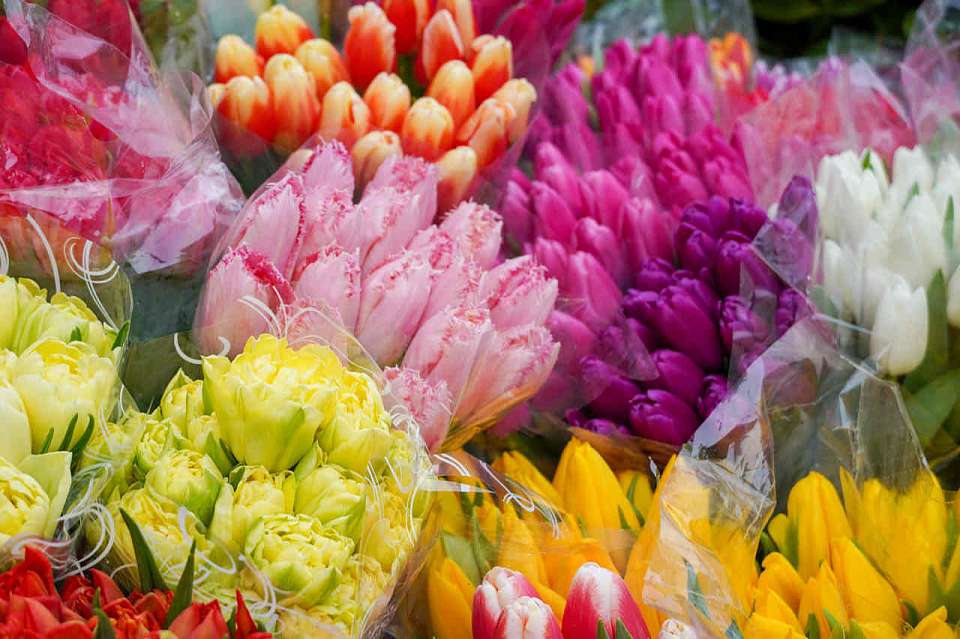 Что ждет от воронежских мужчин прекрасная половина