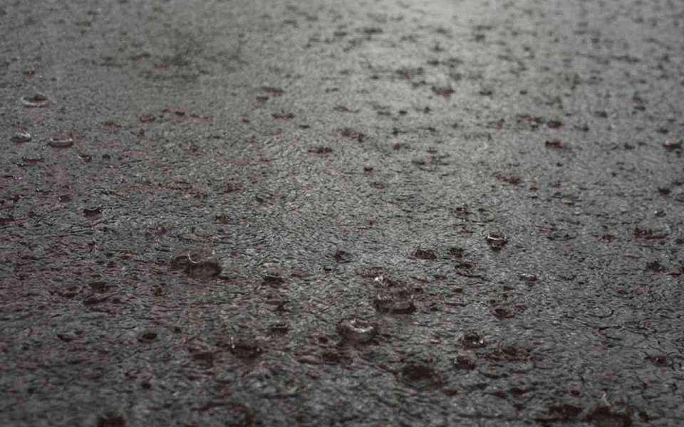 Резкое похолодание и дожди придут в выходные в Воронежскую область