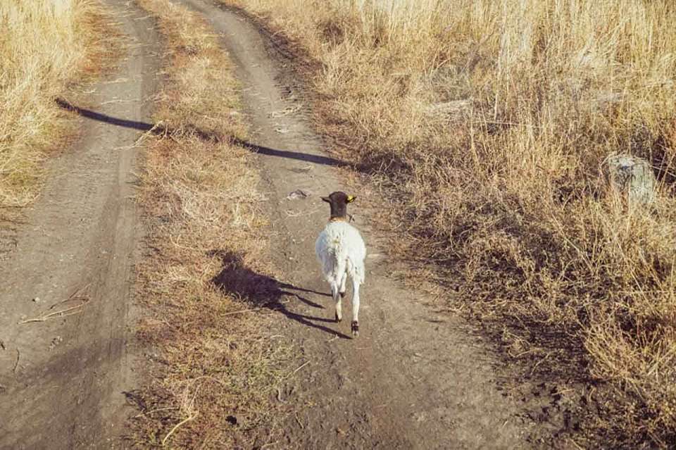 Названия 22 воронежских сел включили в список самых смешных в России