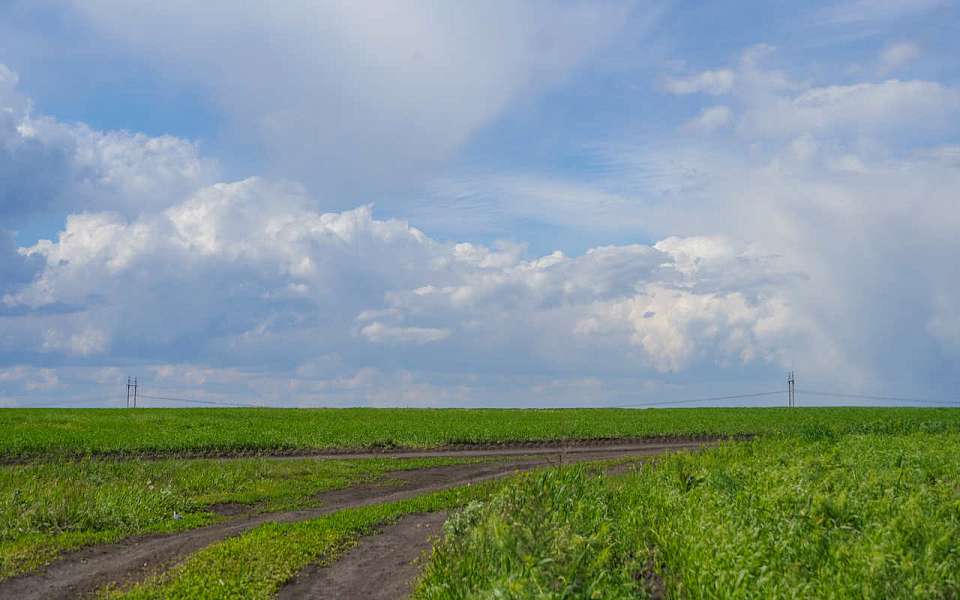 На вопрос о заморозках ответил главный воронежский синоптик