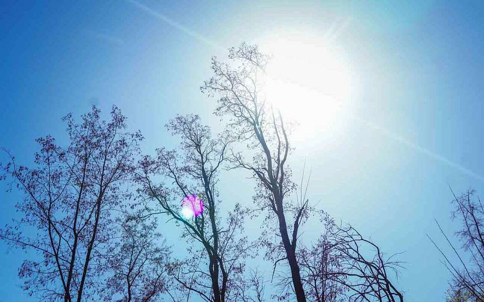 Какой будет погода в среду, 19 марта, рассказали воронежские синоптики