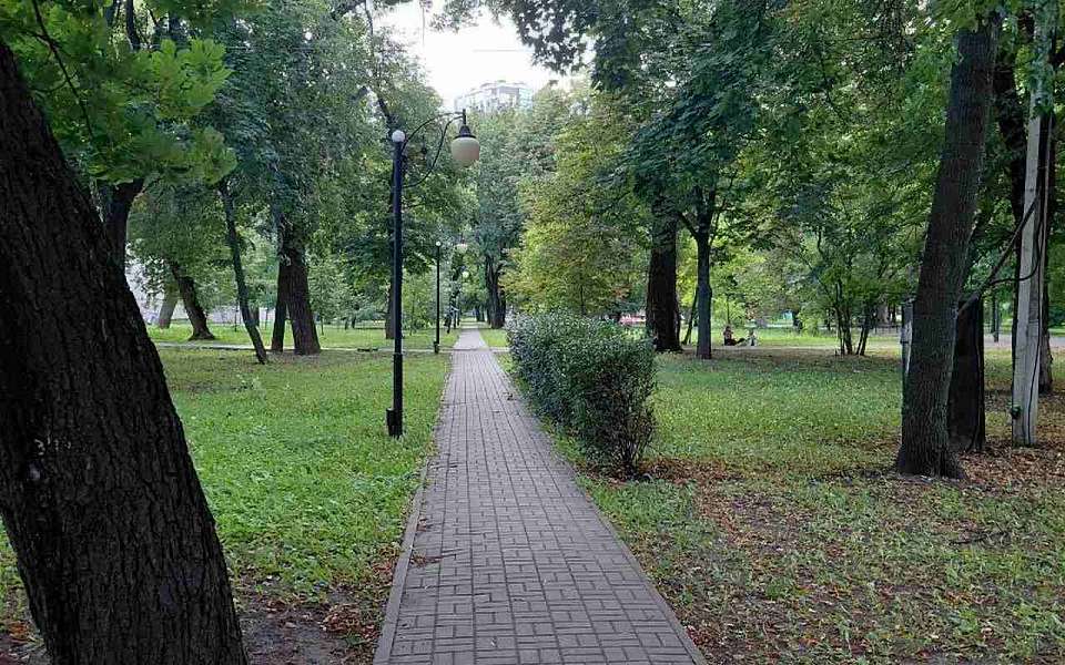 Какой будет погода 25 августа в Воронеже и области