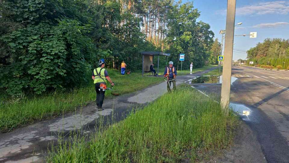 За зелеными насаждениями в Железнодорожном районе продолжается комплексный уход