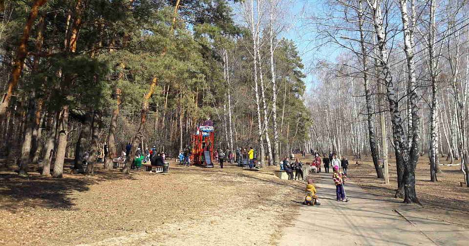 В Воронежской области ожидается резкое потепление до +12 градусов после праздников
