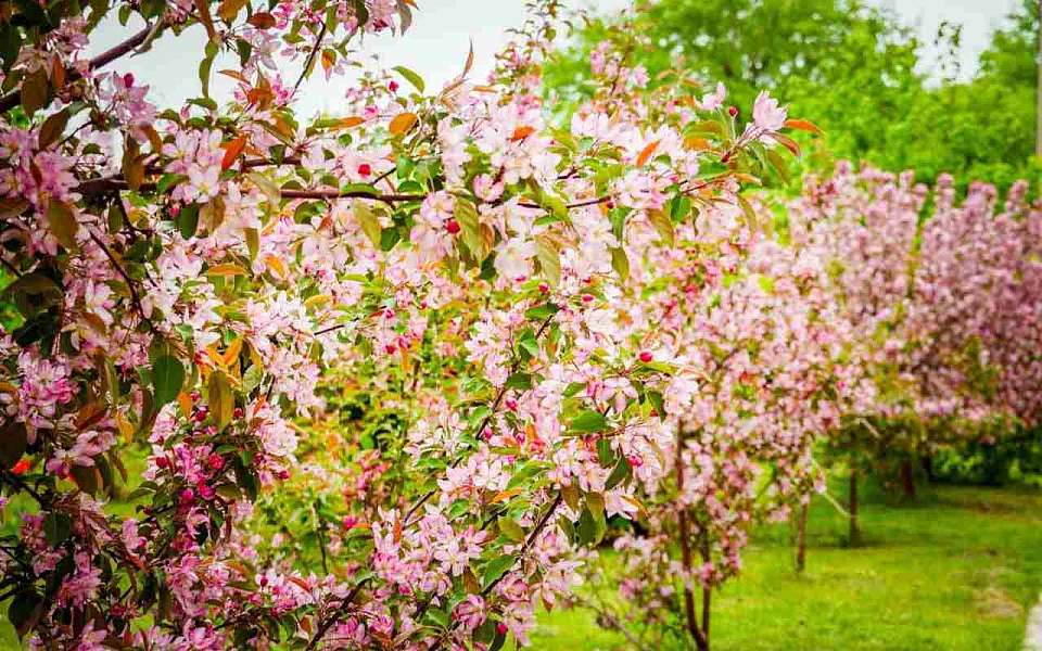 На рабочей неделе потеплеет до +23 градусов в Воронежской области