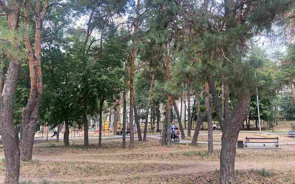 Сквер «Спортивный» в Железнодорожном районе станет комфортнее 