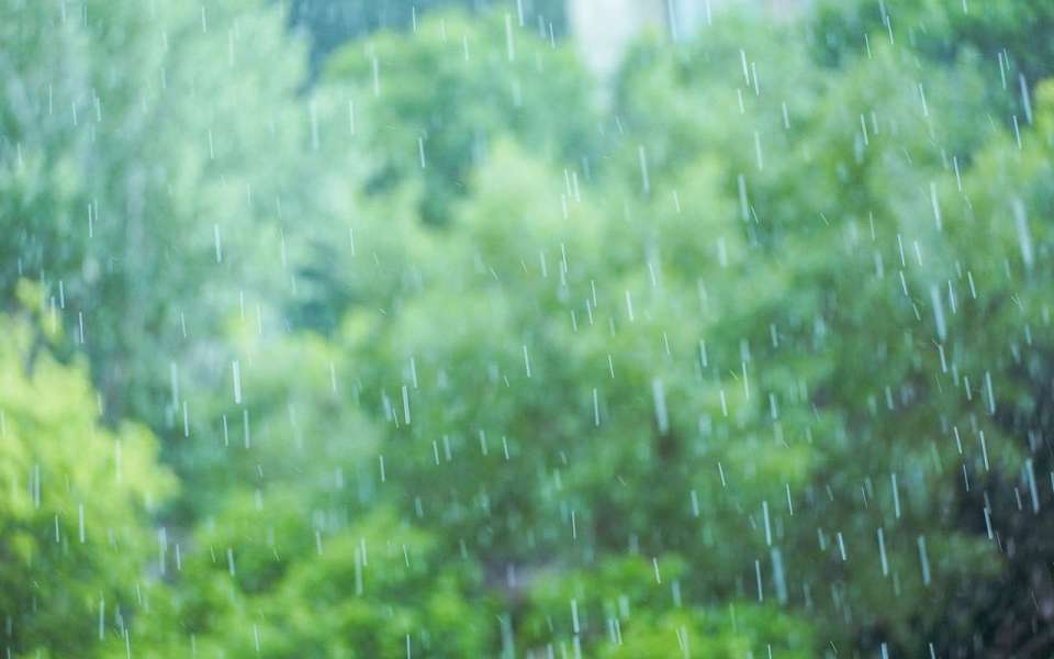 Дождливая и жаркая погода установится в выходные в Воронежской области