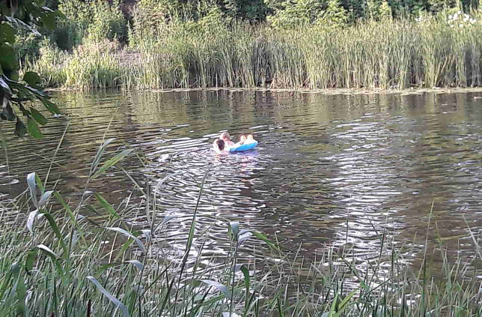 Береговые линии 12 водоёмов определены в Воронежской области