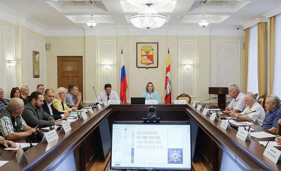 Названия 11 новых улиц выбрали в Воронеже
