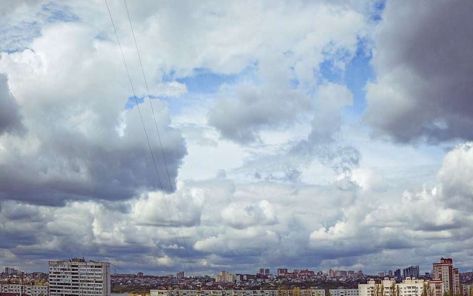 Об опасном и сильном ветре 28 апреля предупредили воронежцев