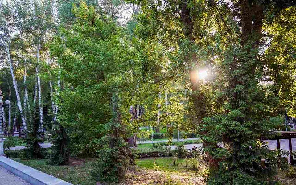 Кратковременное возвращение 31-градусной жары спрогнозировали воронежские синоптики