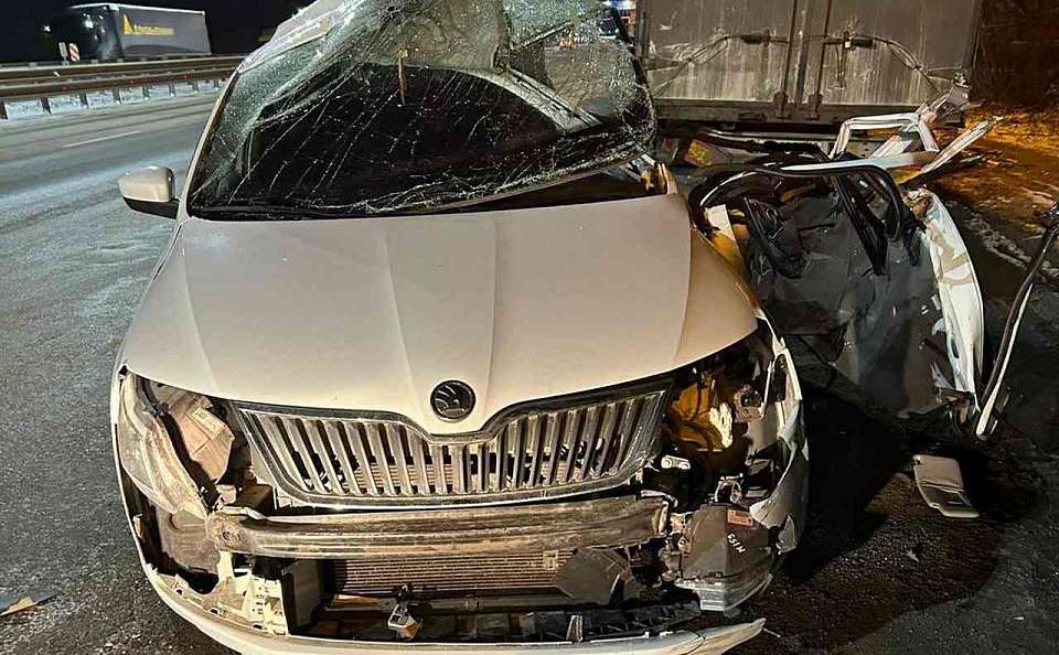 Водитель легковушки погиб и пострадал пассажир после ДТП с отбойником и тягачом под Воронежем