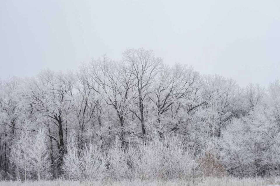 О погоде на четверг, 8 февраля, рассказали воронежские синоптики