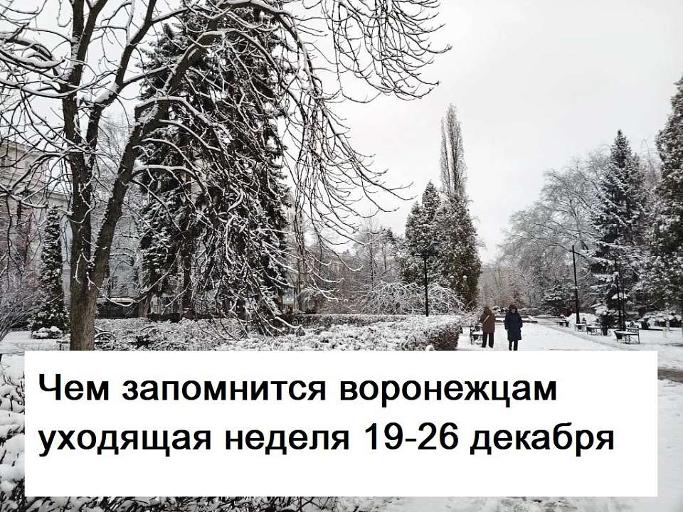 Чем запомнилась в Воронеже неделя с 19 по 26 декабря
