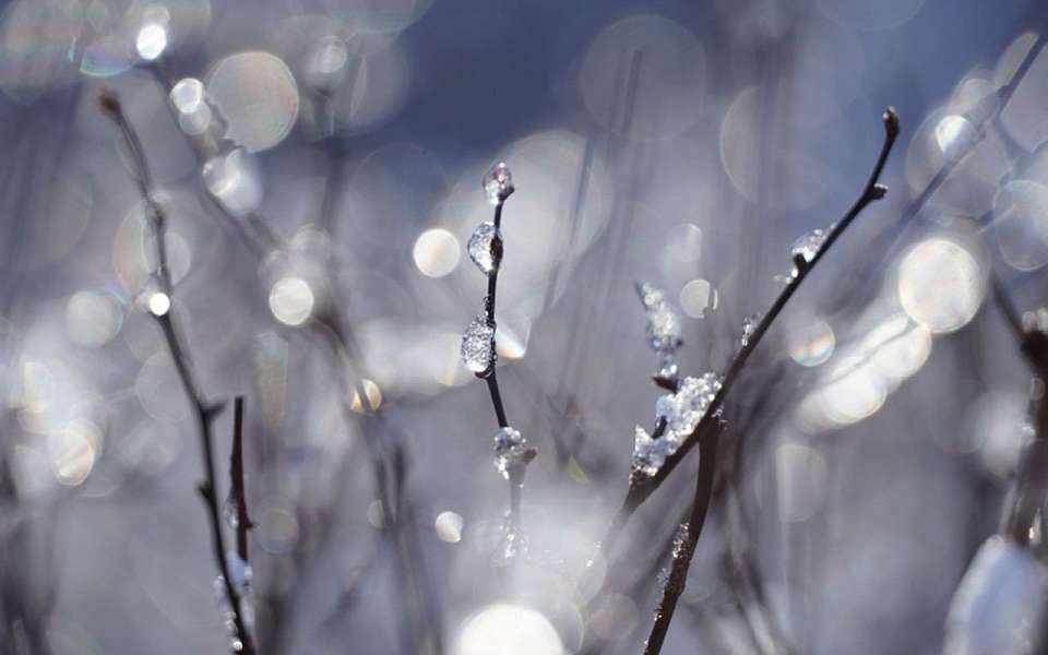 Мороз до -9 градусов вернется на рабочей неделе в Воронежскую область