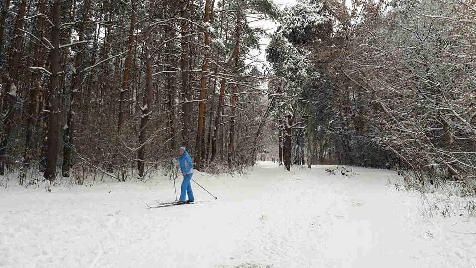 После временного потепления в Воронежскую область придут морозы до -15°