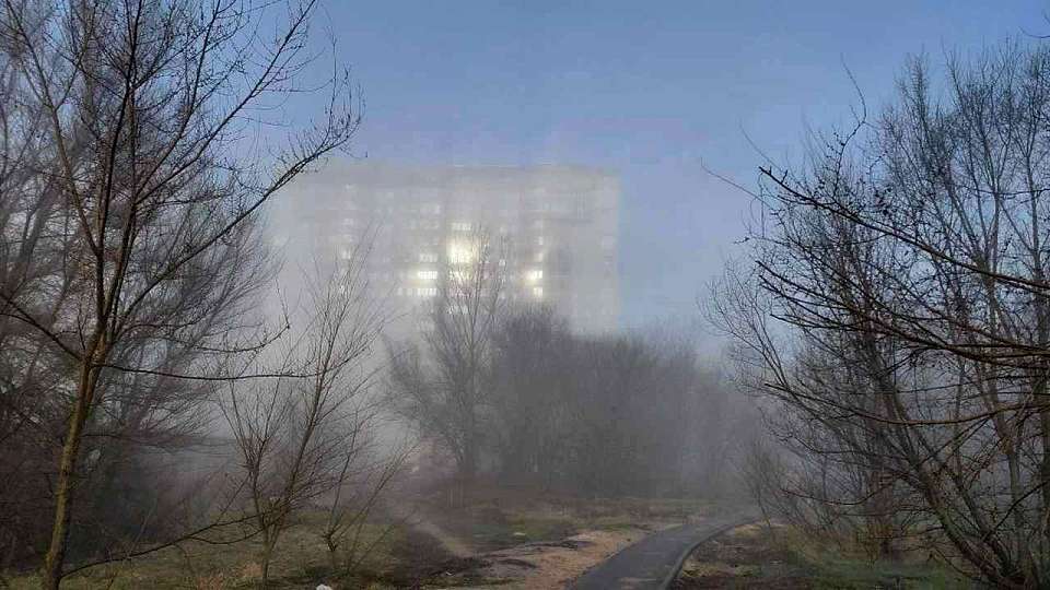 О тумане на дорогах предупредили воронежских автомобилистов