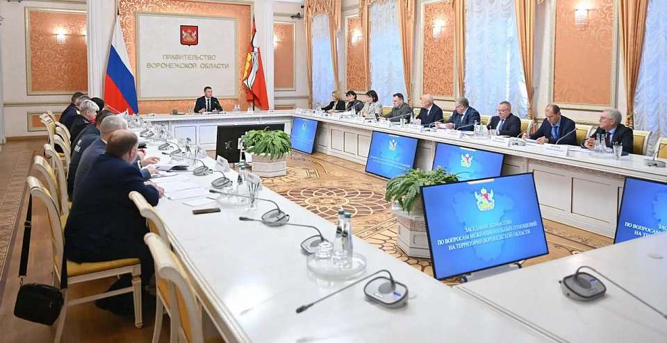 На правительственной комиссии по межнациональным отношениям опытом поделился воронежский вуз